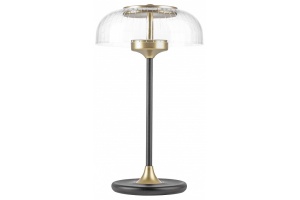 Настольная лампа декоративная Lightstar Acrile 738973