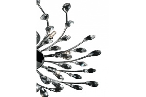 Потолочная люстра Lightstar Isabelle 791184 - 2