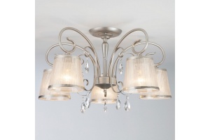 Потолочная люстра Eurosvet Liona 60065/5 серебро