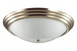 Накладной светильник Lumion Kayla 5262/3C