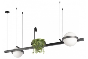 Подвесной светильник Loft it Jardin 10121/D Dark grey