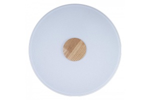 Накладной светильник Loft it Axel 2 10003/24 White - 2