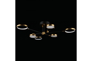 Потолочная люстра Aployt Ines APL.043.07.50 - 3