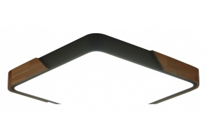 Накладной светильник Zortes ALBERRO ZRS.01288.36 - 2