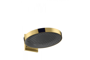 26230990 HG Rainfinity 360 1jet верхний душ с настенным держателем полир,золото