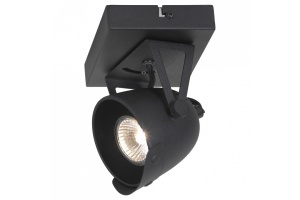 Спот Lussole Montgomery GRLSP-9505