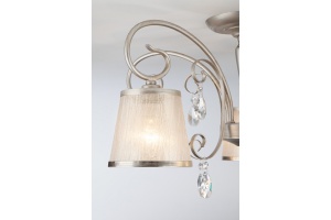 Потолочная люстра Eurosvet Liona 60065/5 серебро - 3