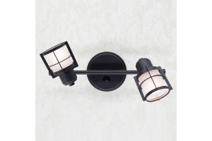 Спот Citilux Реймс CL563521 - 2