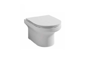 Унитаз подвесной Jacob Delafon Elite EDX114RU-00 безободковый