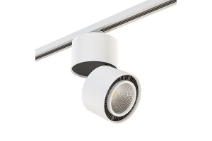 Светильник на штанге Lightstar Forte Muro A1T213830