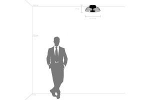 Накладной светильник Lightstar Celesta 809200 - 3