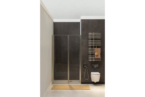 Душевая дверь Allen Brau Priority 120 профиль серебро матовый стекло прозрачное - 2