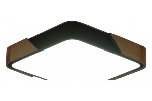 Накладной светильник Zortes ALBERRO ZRS.01281.36 - 2