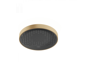 Верхний душ Hansgrohe Rainfinity 360 1jet, 26231140, шлифованная бронза
