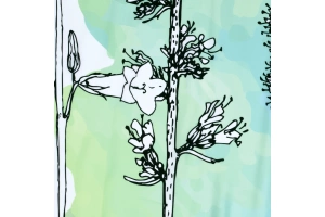 Штора для ванной Wasserkraft Ammer 200х200 рисунок белый - зеленый - 3