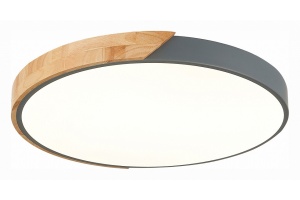 Накладной светильник EVOLUCE Festa SLE200972-01