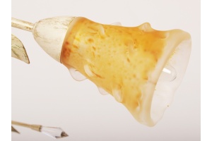 Потолочная люстра Abrasax 163 163PL6Y2-385 - 2