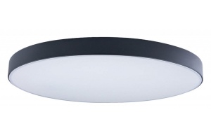 Накладной светильник Loft it Axel 1 10002/48 Black