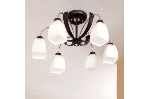 Потолочная люстра Citilux Крокус CL128161 - 2