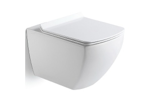 Унитаз подвесной Black&White Universell 52 белый с сиденьем микролифт