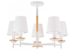 Люстра на штанге MyFar Daniel MR1841-5C