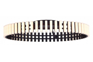 Потолочная люстра ST-Luce Estense SL6203.402.40 - 2