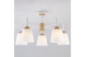 Люстра на штанге Eurosvet Fresco 70085/5 белый