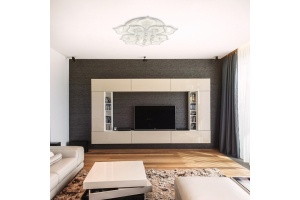 Накладной светильник Natali Kovaltseva 82029 HIGH-TECH LED LAMPS 82029 - 2