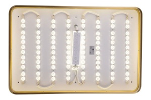 Накладной светильник Zortes Monna ZRS.1209.09 - 2