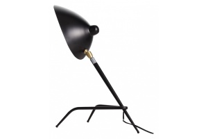 Настольная лампа декоративная ST-Luce Spruzzo SL305.404.01