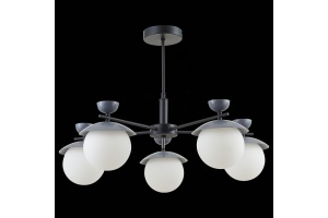 Люстра на штанге EVOLUCE Genova SLE220202-05 - 2