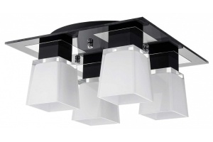 Накладной светильник Lussole Lente GRLSC-2507-04