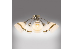 Потолочная люстра MyFar Emily MR1460-5C - 3