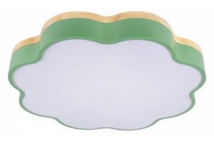 Накладной светильник Loft it Axel 10225/36 Green