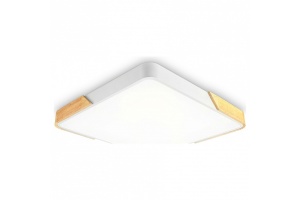 Накладной светильник Ambrella FZ FZ1313