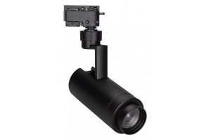 Трековый светодиодный светильник Arlight LGD-Zeus-2TR-R67-10W Warm3000 025941(1)