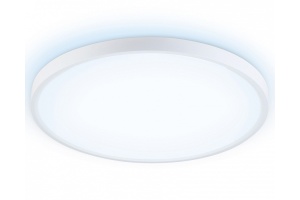 Накладной светильник Ambrella Light FZ FZ3005