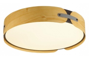 Накладной светильник Sonex Coraggio 7721/100L - 3