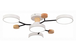 Потолочная люстра EVOLUCE Faema SLE6006-502-04 - 3