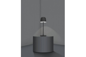 Настольная лампа декоративная Eglo ПРОМО Mannera 900457 - 2