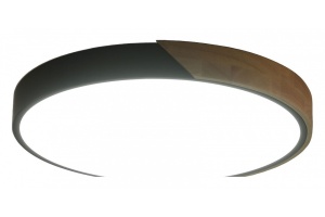 Накладной светильник Zortes ALBERRO ZRS.01287.48 - 2