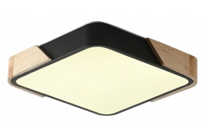 Накладной светильник Zortes ALBERRO ZRS.01281.48 - 3