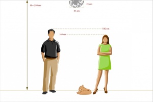 Потолочная люстра MW-Light Улыбка 365013705 - 3