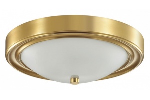 Настенно-потолочный светильник Lumion Vintage Nina 5259/2C