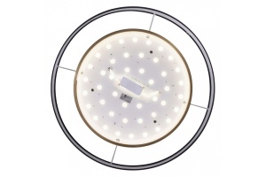 Накладной светильник Zortes Bella ZRS.27510.05 - 2