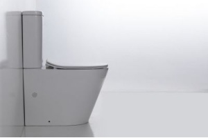 Унитаз-компакт Esbano Alagon с сиденьем микролифт, белый (ESUNALAGCW) - 3