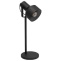 Настольная лампа офисная Eglo ПРОМО Casibare 99554 - 0