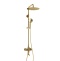 Душевая система WasserKraft 30 золото A171.263.207.PG - 0