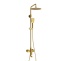 Душевая система WasserKraft 24.8 золото брашированное A155.259.201.BG - 0