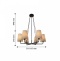 Подвесная люстра Favourite Pfefferling 2364-10P - 1